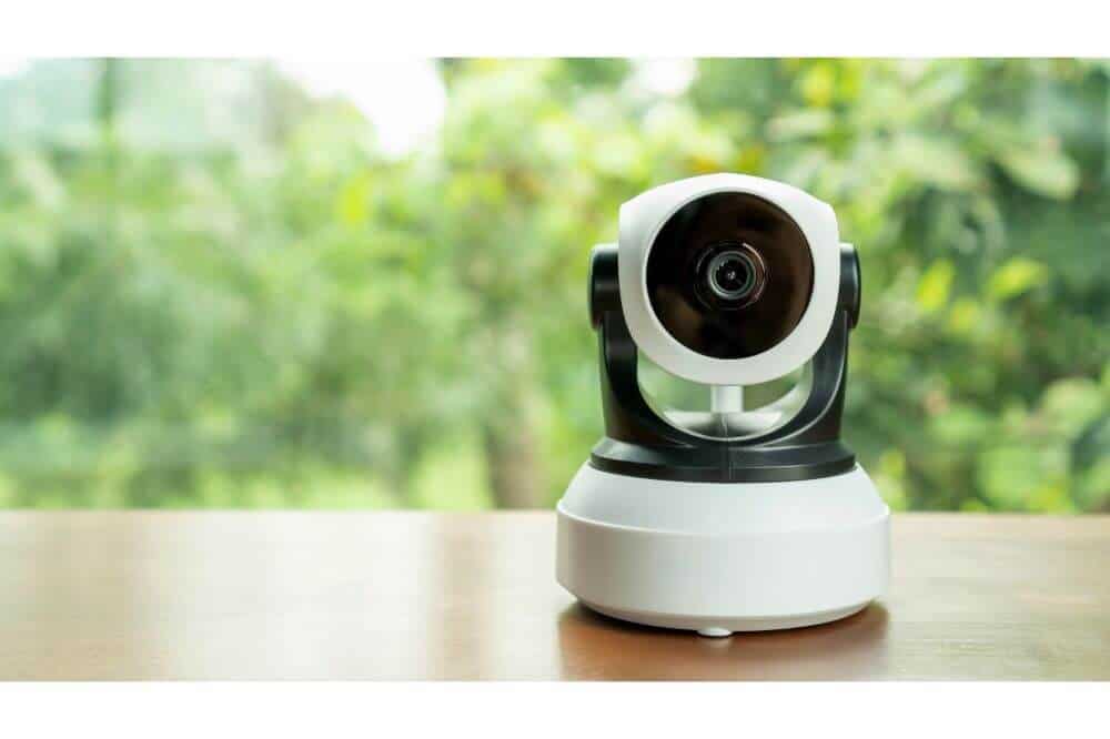 Are Pet Cameras Safe