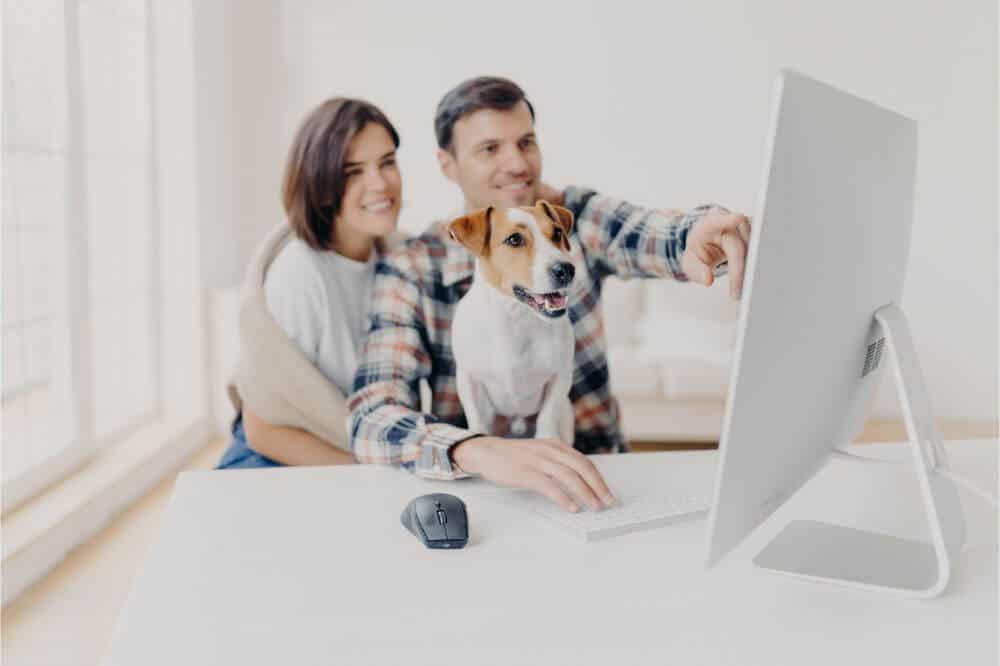 Can Pet Cameras Help with Separation Anxiety